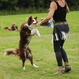 Foto van Max, Vlekkie en Lela <3