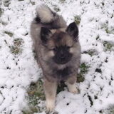 Eerste keer in de sneeuw :)