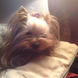 Foto van Anny en Lance