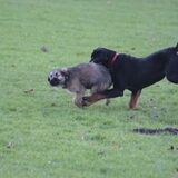 Foto van team Shadow