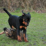 Foto van team Shadow