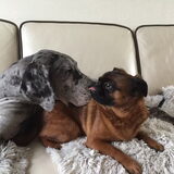 Foto van Randje