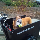 bakfiets mickey