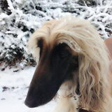 Foto van Gerard