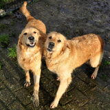 Lola en haar mama, Zora