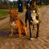 Foto van Dreamteam