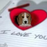 Voor Marloes & Mellow