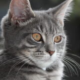 Foto van Elske