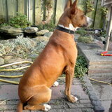 Foto van yooop