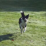 Foto van Angelique, Kleine Maybe en Tess <3