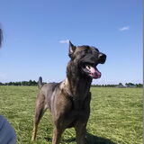 Foto van Richelle & Vegas