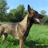 Foto van Richelle & Vegas