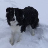 8 maanden