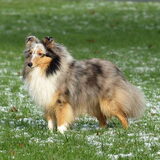 Jenna 10 maanden oud