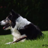 Foto van Tinaa.