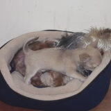 Samen spelen....