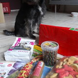 Foto van Ciska en Spanjaardje Moh (Bambi r.i.p.)