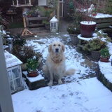 Kaya loves snow