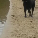 Foto van sylvia