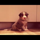 Maylo toen hij rond de 3 weken was!