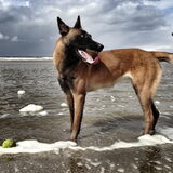 Bella aan zee