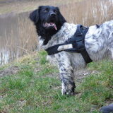 Foto van Sandra, Ozzie (overleden) Iris en Zoë