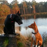 Foto van Fema & Fingo