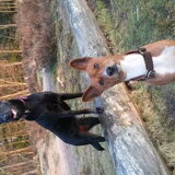 Foto van Fema & Fingo