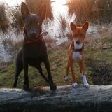 Foto van Fema & Fingo