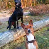 Foto van Fema & Fingo