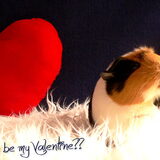 14-02-2015, happy Valentine!