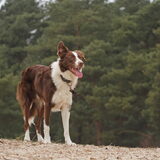 Foto van Sophie