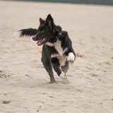 Foto van Sophie