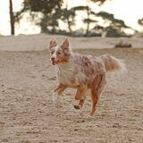 Foto van Sophie