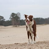 Foto van Sophie
