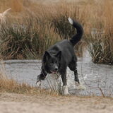 Foto van Sophie