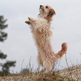 Foto van Sophie