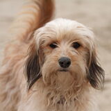Foto van Sophie