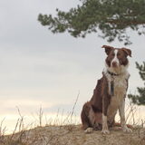 Foto van Sophie