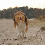 Foto van Sophie