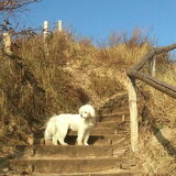 Foto van ~ Luna & Lèxi ~