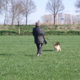 Hertha op het speurveld bezig.