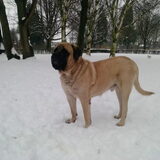 ober in de sneeuw
