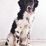 Foto van Michelle & Bentley
