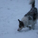 sneeuw spelletje: zoek het speeltje