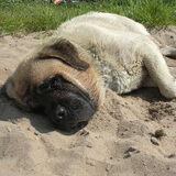 op vakantie aan het strand