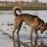 Jairo snorkelen