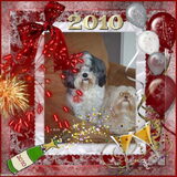 Foto van liesbeth,Turbo,Luna, Levi en Faith
