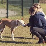 Foto van Nikki