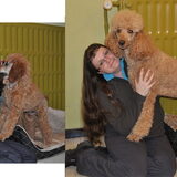 Sookie, het grootste "knuffelkonijn" in huis :-D